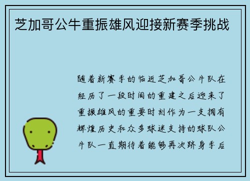 芝加哥公牛重振雄风迎接新赛季挑战